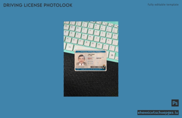 Beispielvorschau für das Foto des uruguayischen Führerscheins